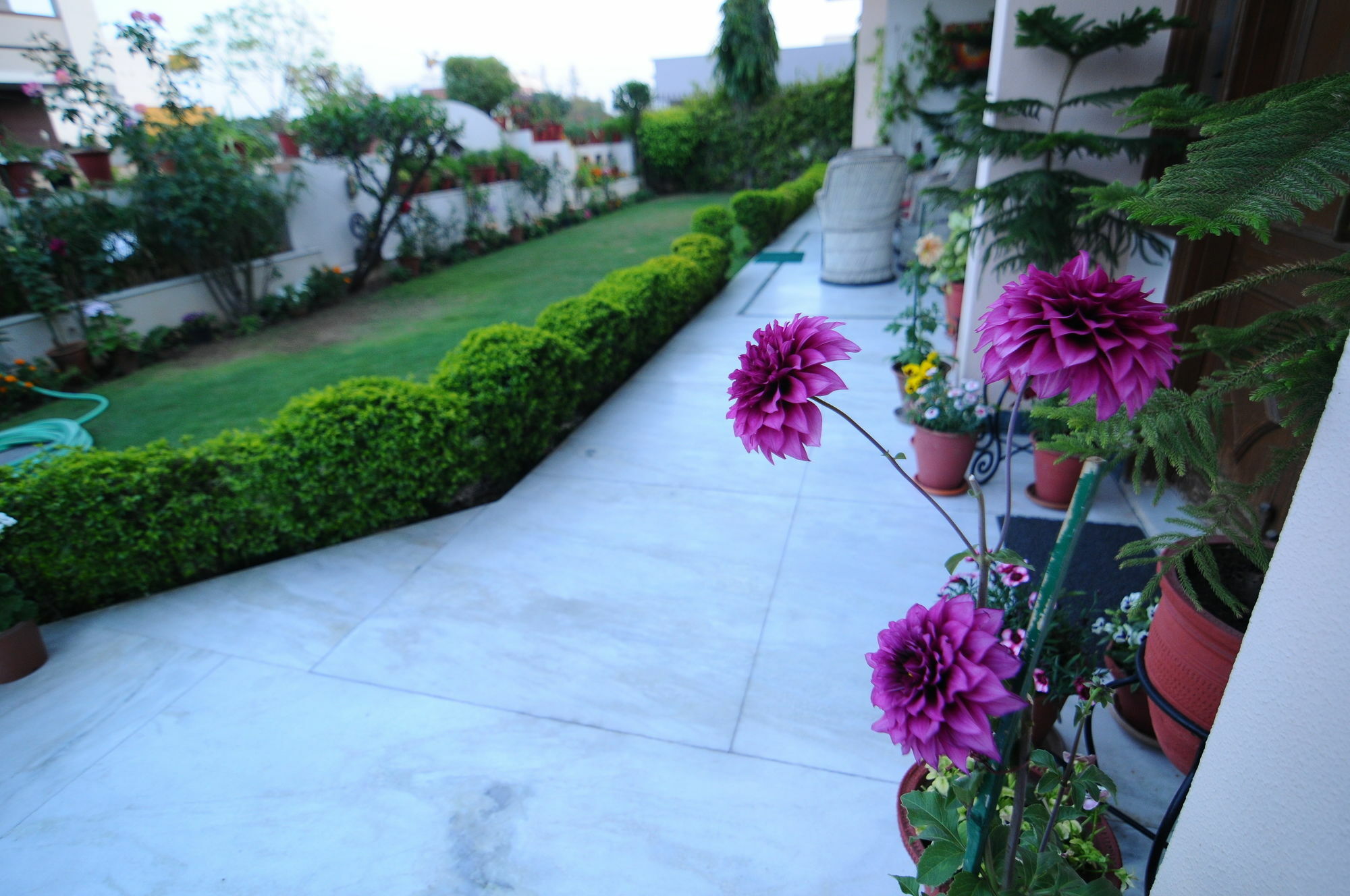 Jaipur Friendly Villa Экстерьер фото